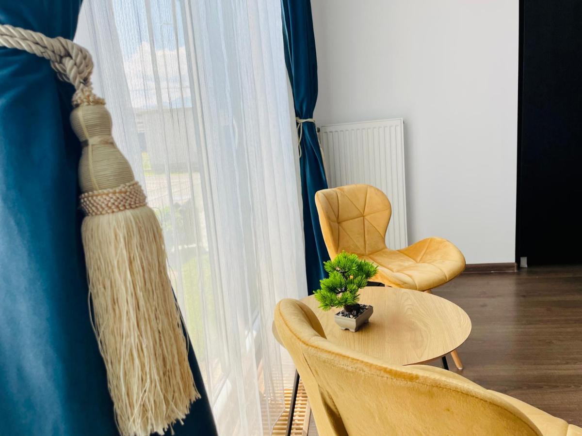 Aventurescu Studio Brasov Coresi Exteriér fotografie