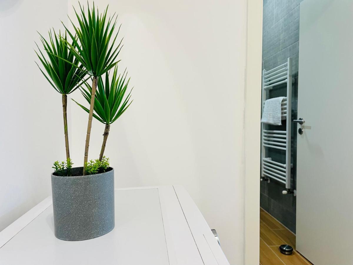 Aventurescu Studio Brasov Coresi Exteriér fotografie